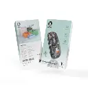 Green Lion Transparent Mouse 2