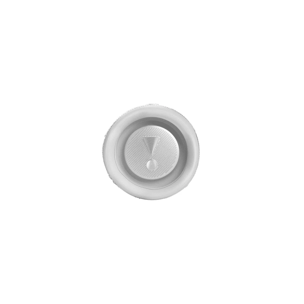 JBL Flip 6
