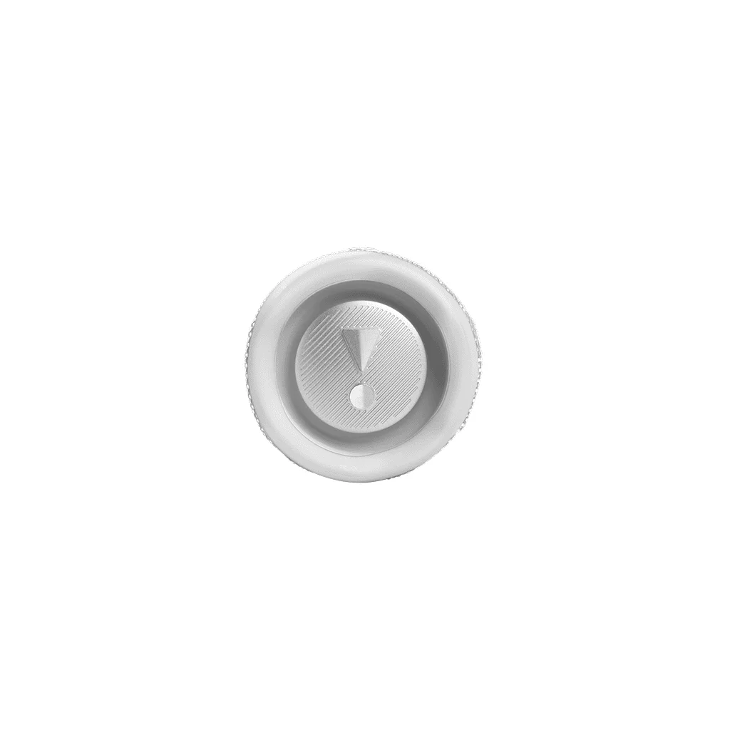 JBL Flip 6