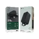 Green Lion Monarch Clutch Bag