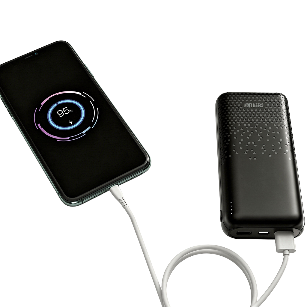 Green Lion Rome 20000mAh Powerbank