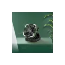 Green Lion 3-in-1 Solar Fan black color 2 (1).webp
