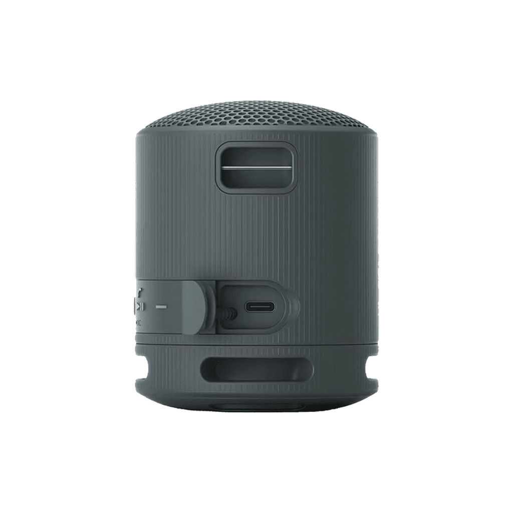Sony SRS-XB100