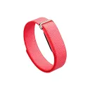 Google Fitbit Air